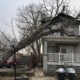 Rochester Tree Removal