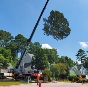 Crane removal service Rochester NY