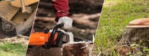 Stump Grinding Rochester NY